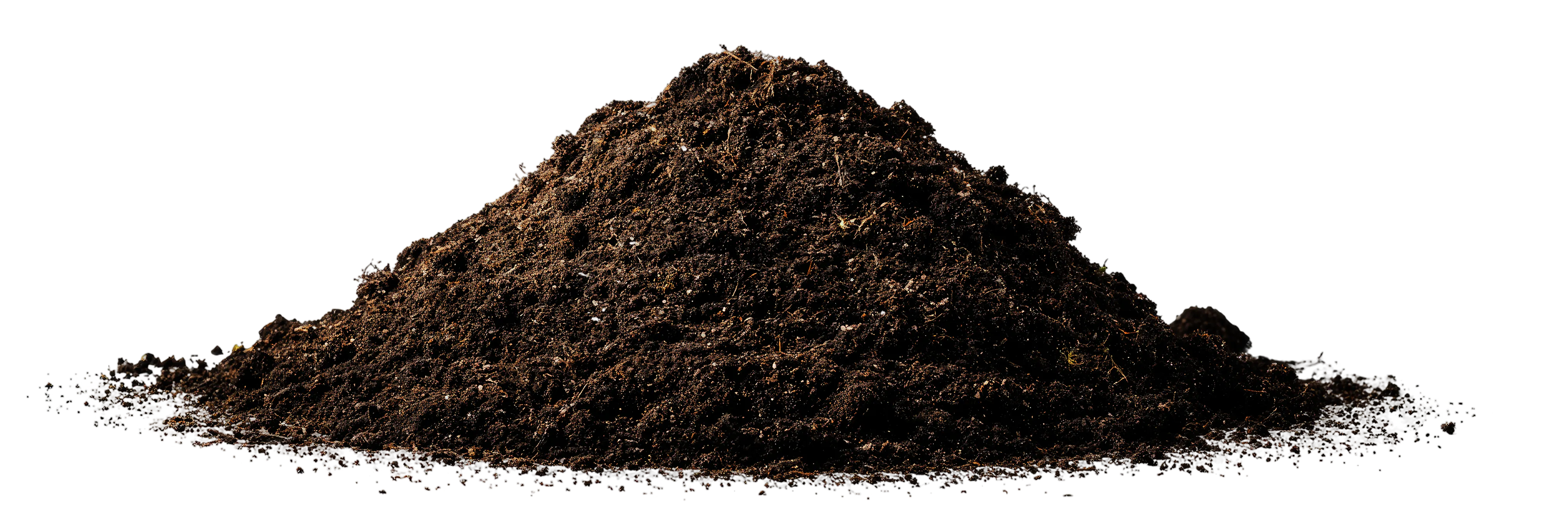 Adobe Stock 1702874802