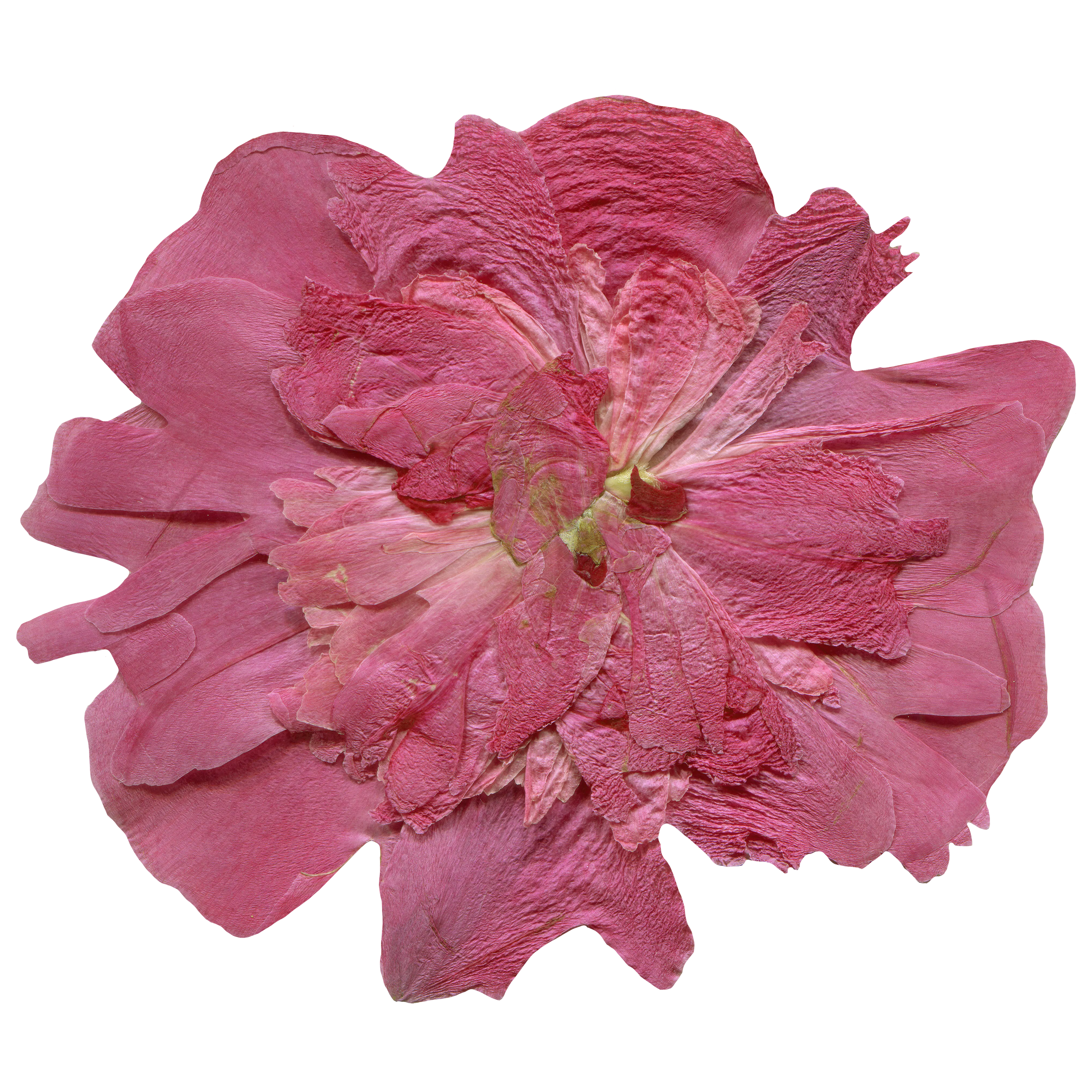 Adobe Stock 633696795