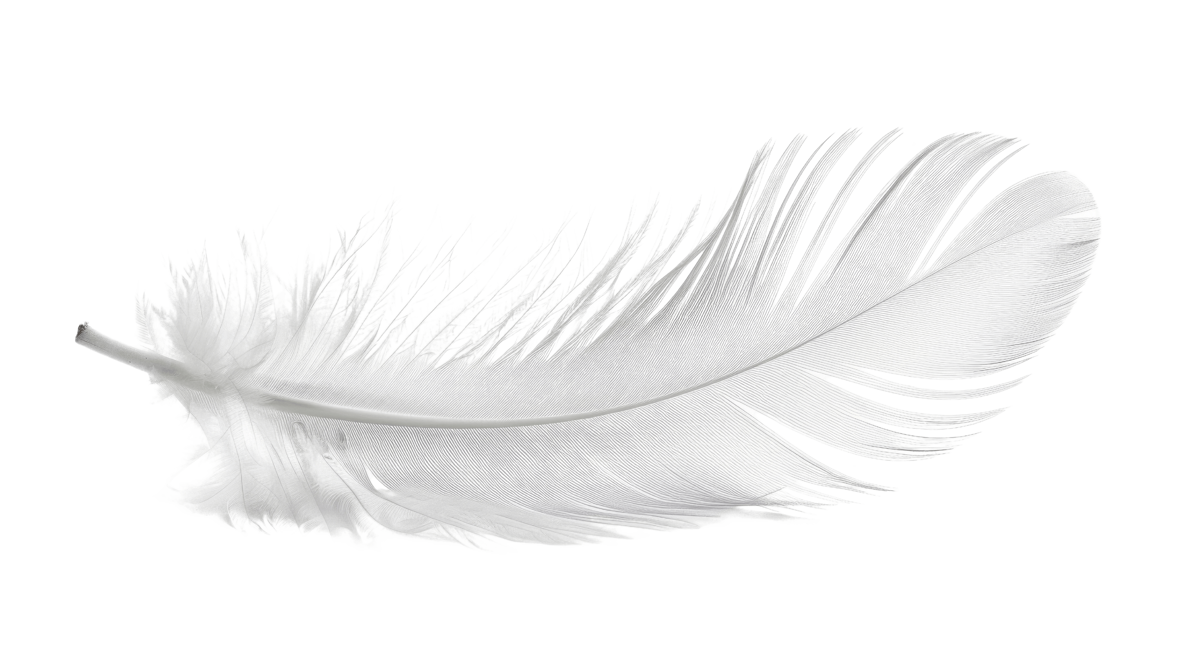 Adobe Stock 801713384