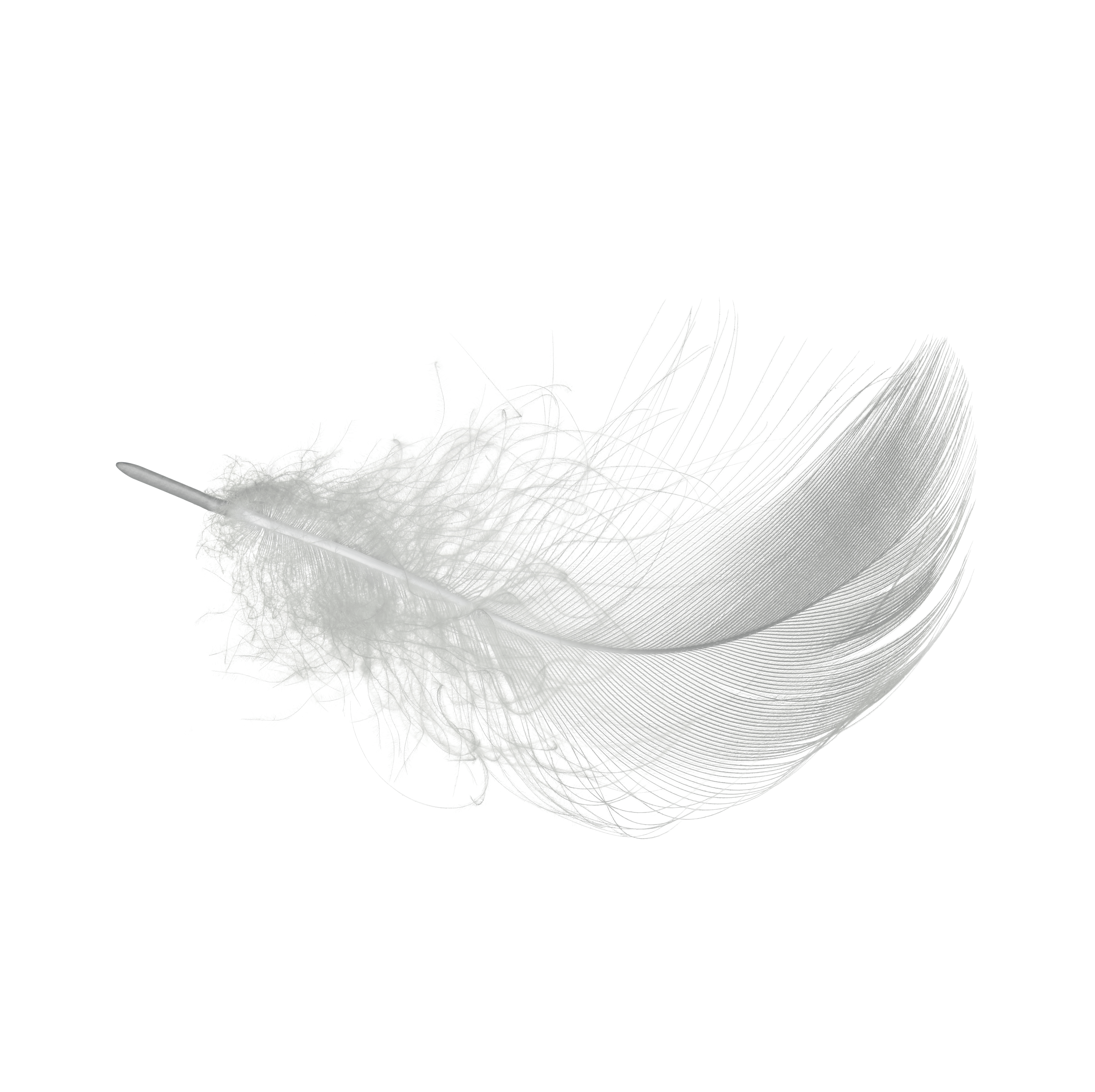 Eeaf237f 3366 4108 a231 2851a48bc2f7