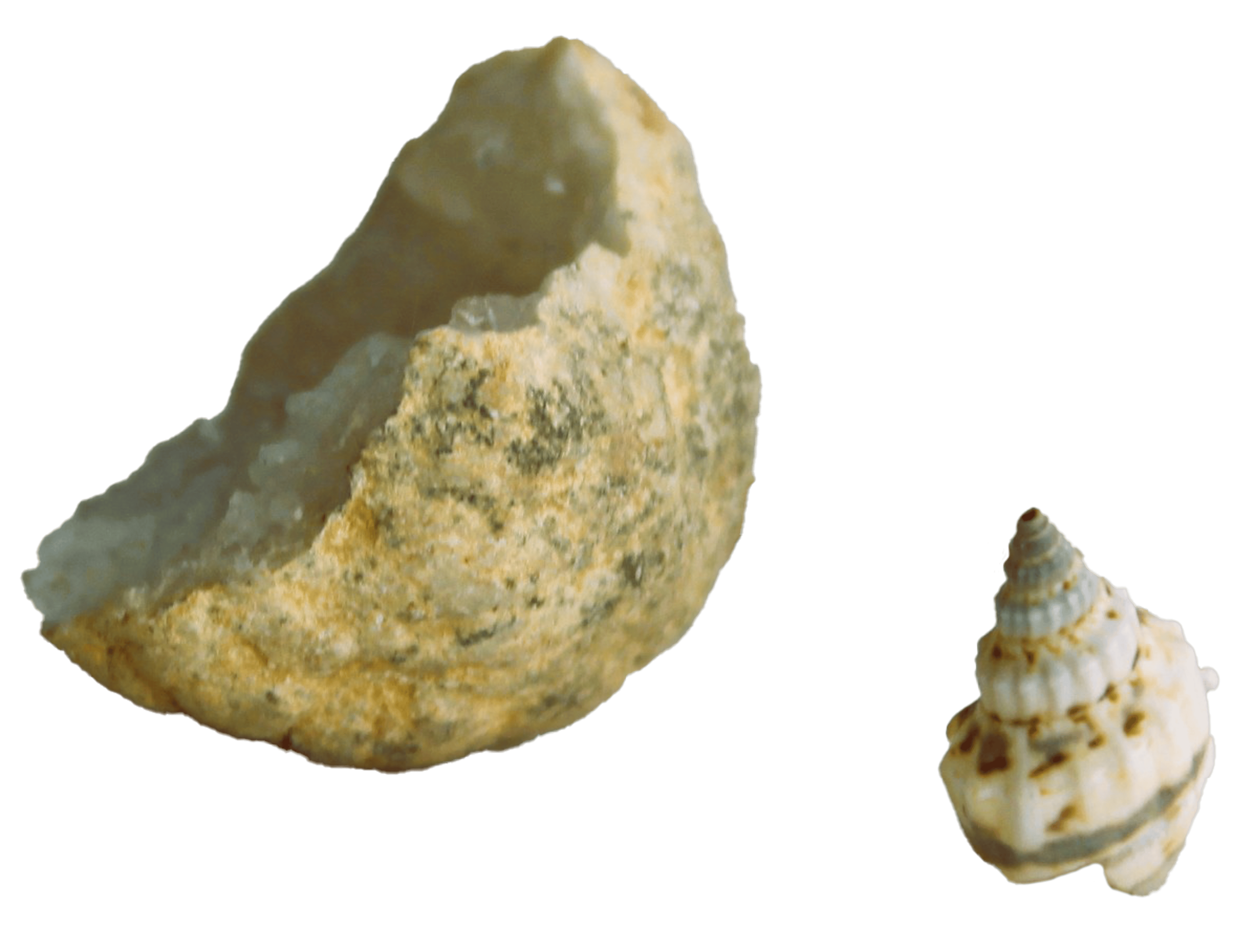 Stille tafel uitgensneden