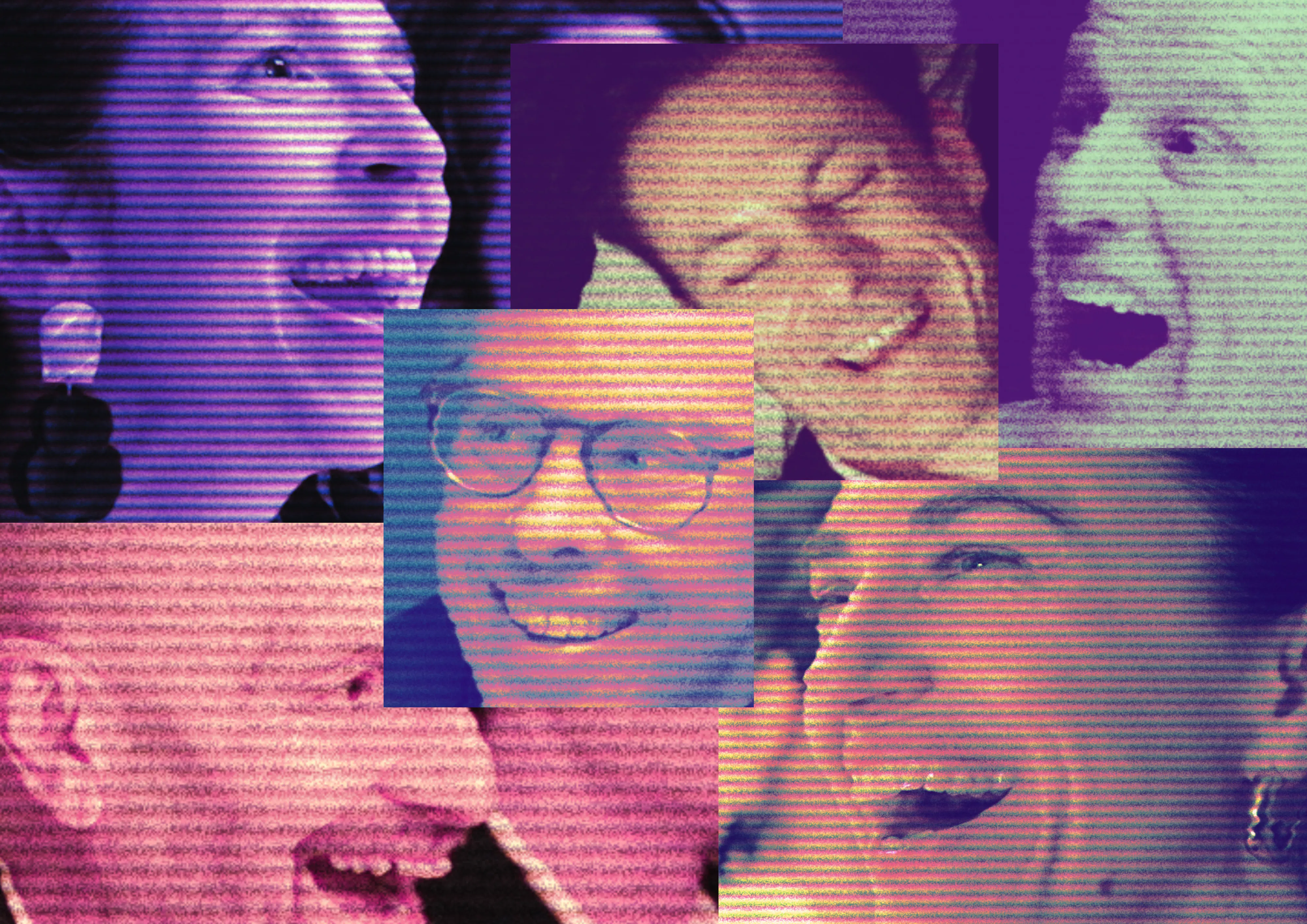 DE SITCOMEBACK hires horizontaal c Jens Dewulf c Jens Dewulf