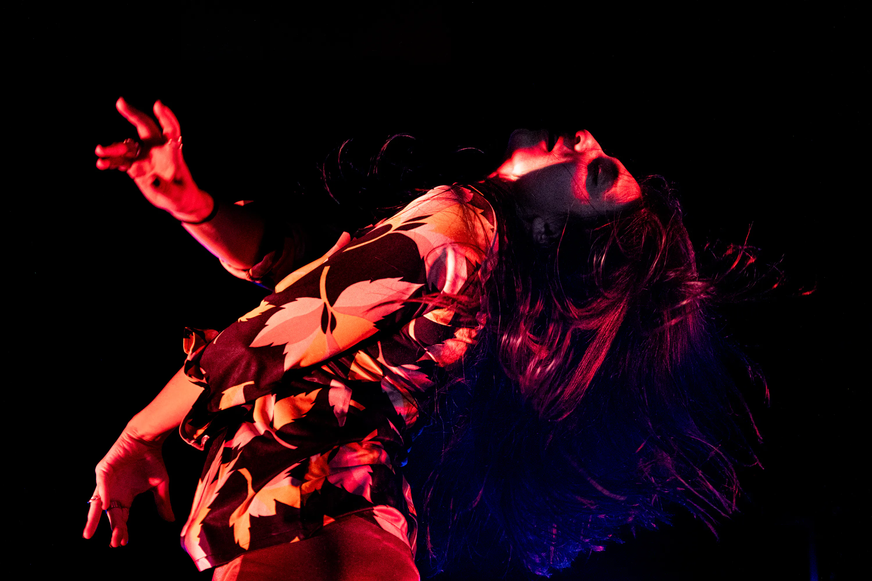 RR stefstessel 5 c stef stessel