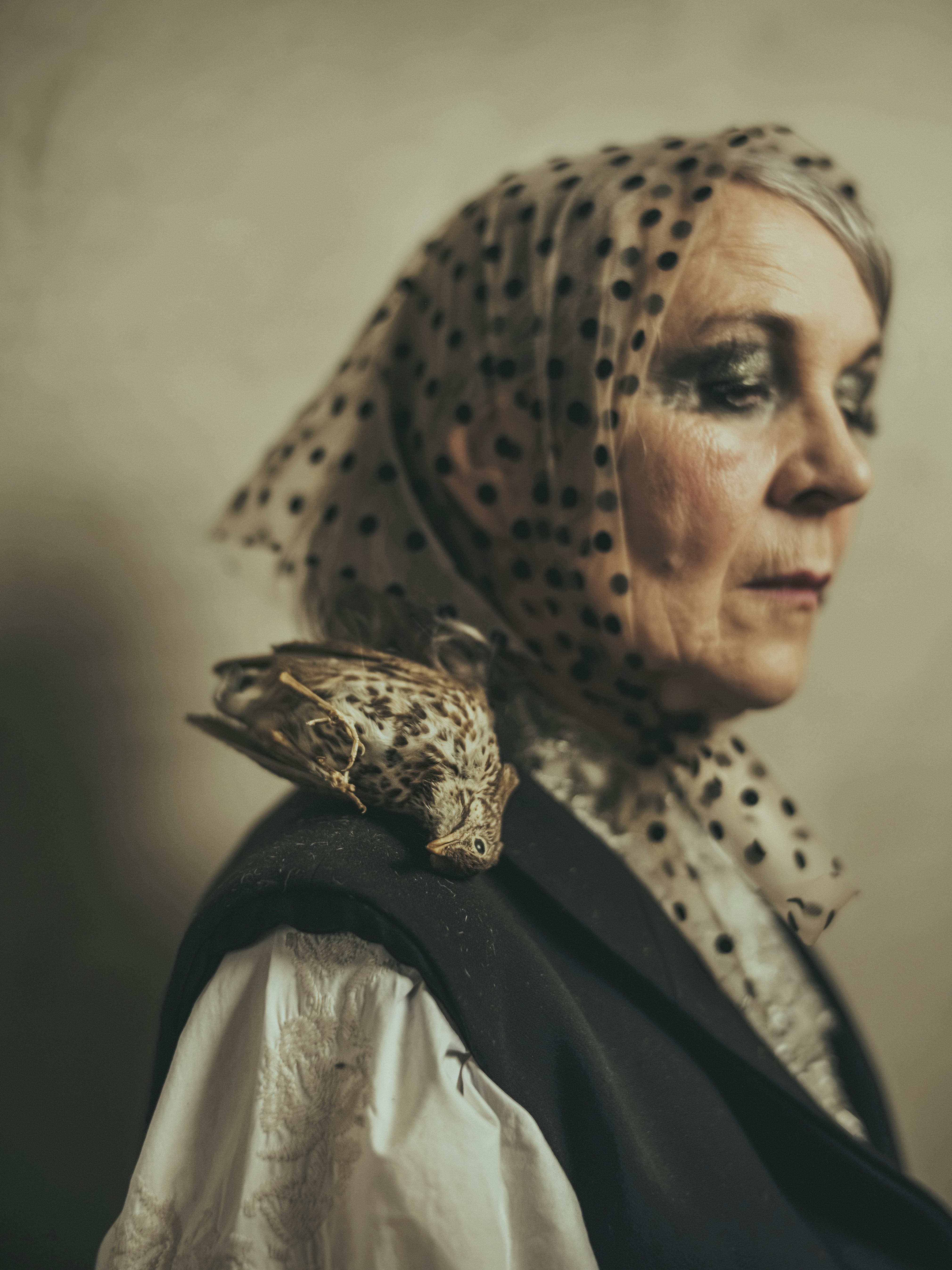 BEELD3 press online jk