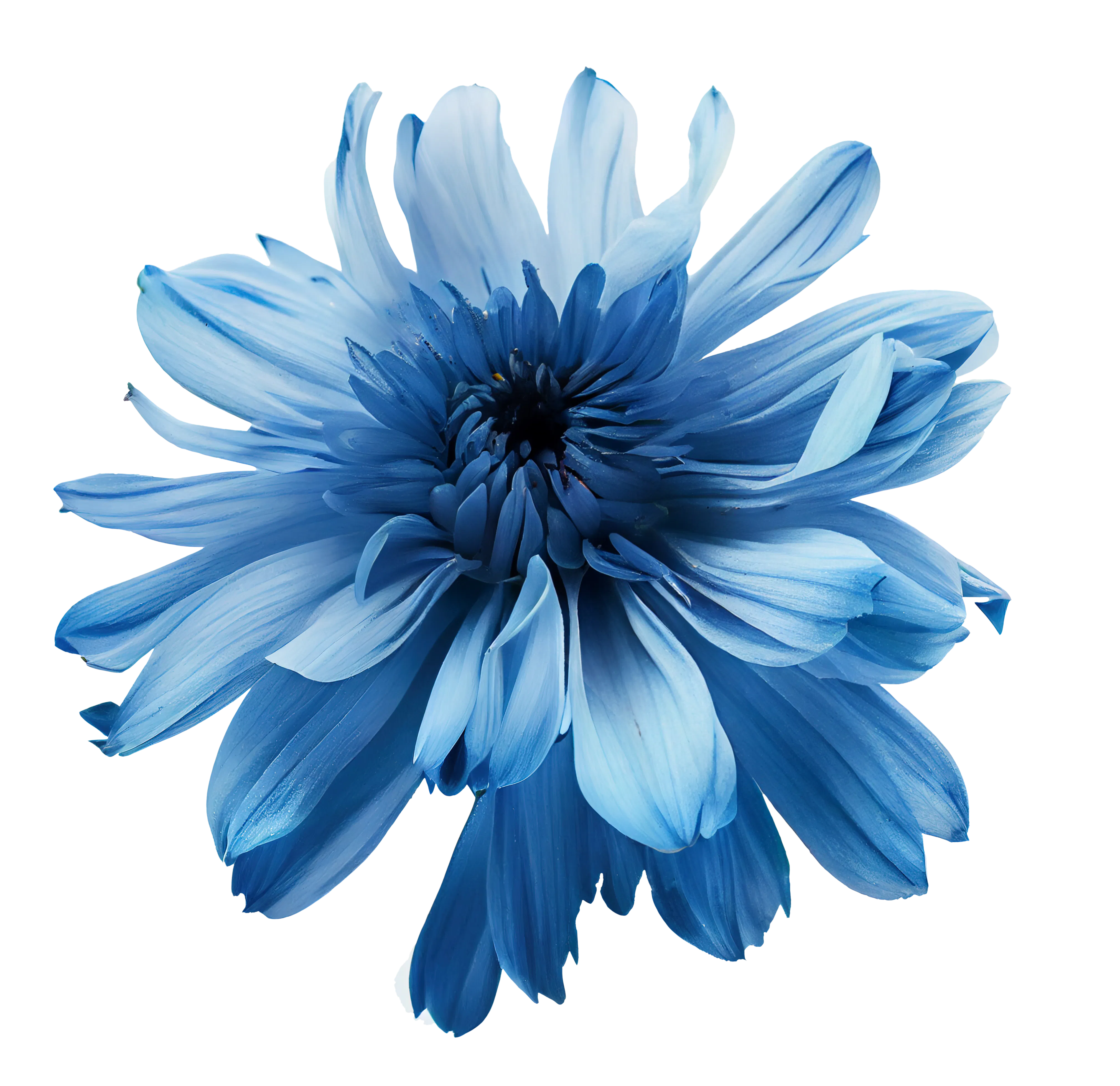 Adobe Stock 578124601