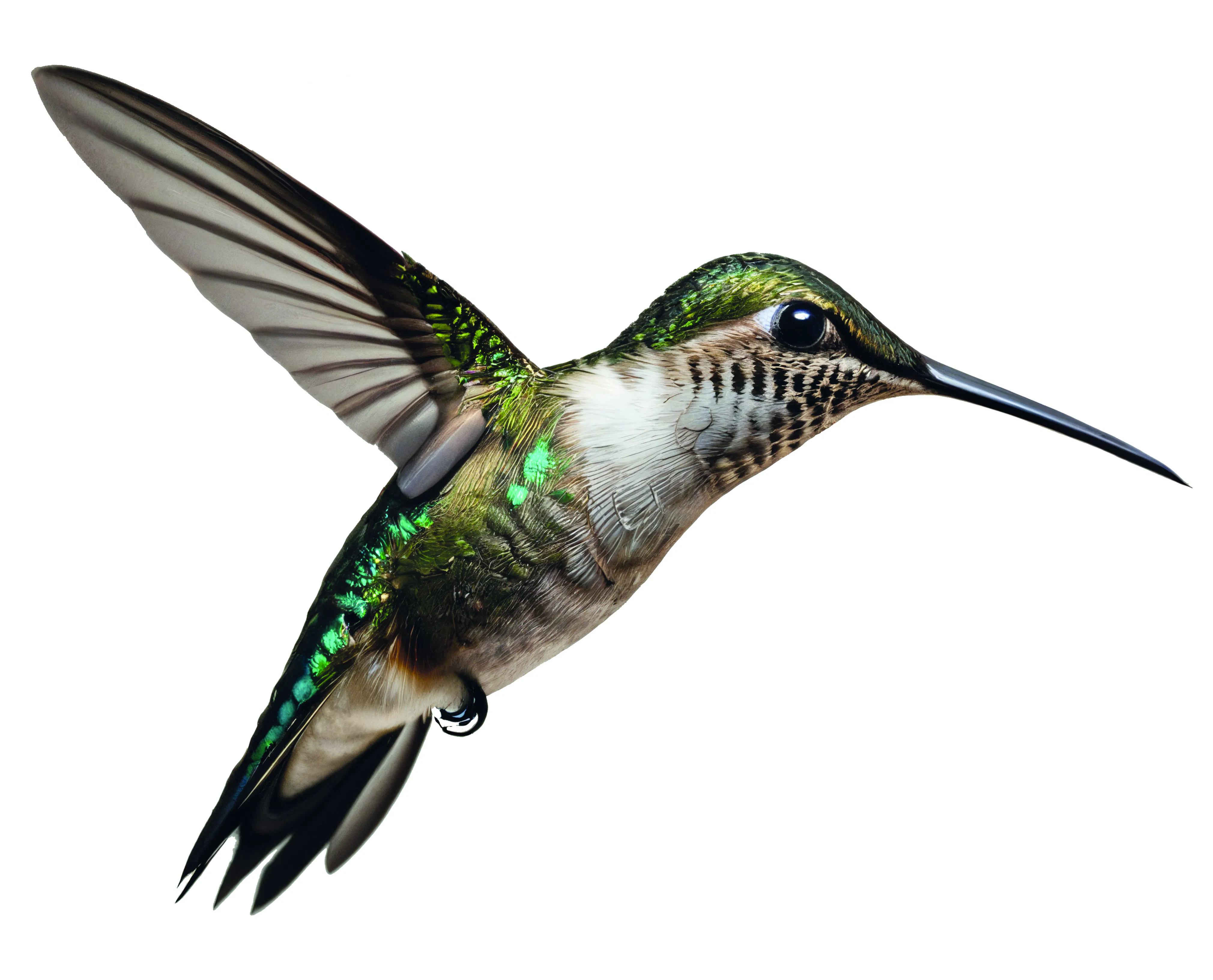Adobe Stock 1901454343