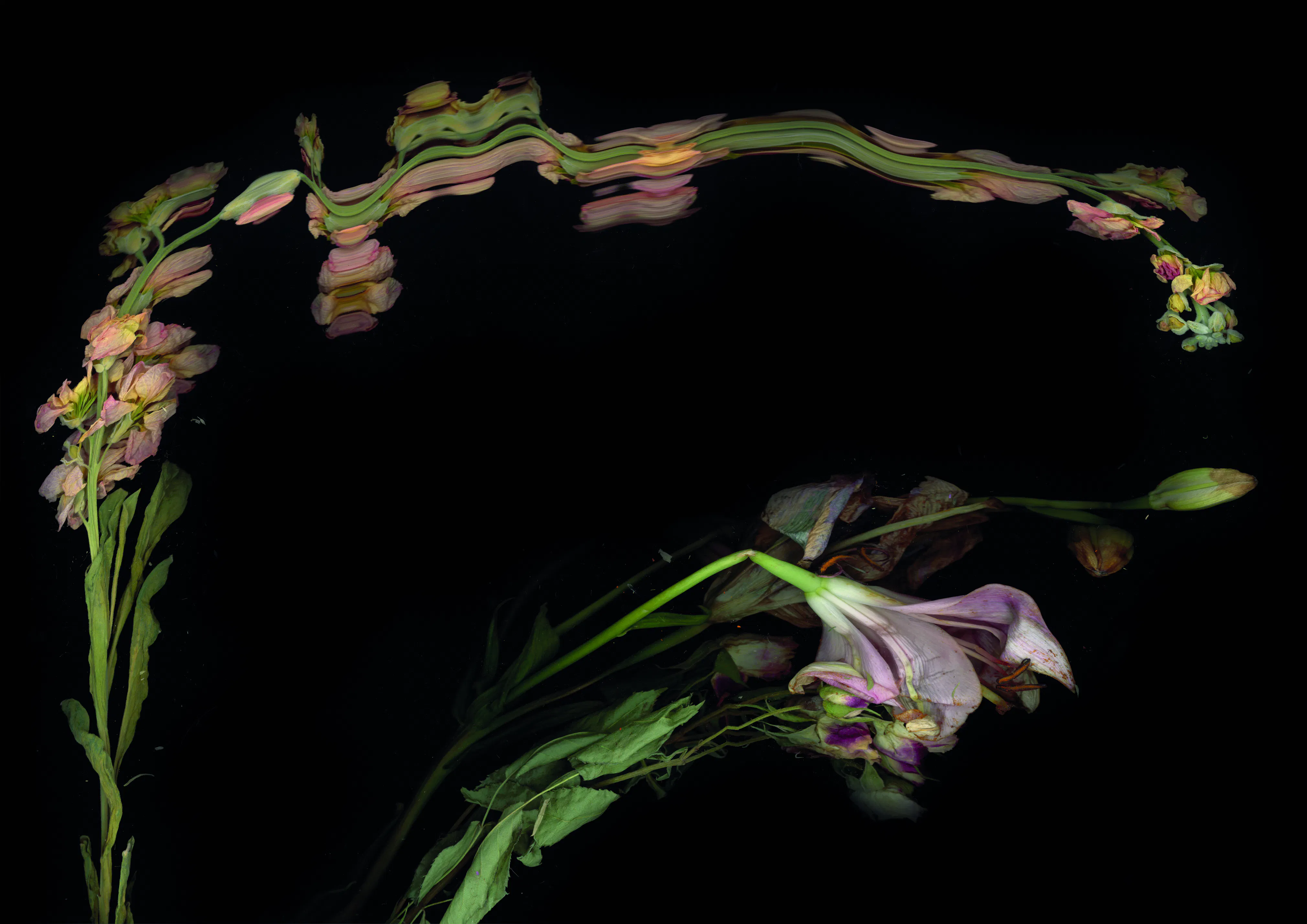 0947 001 edit2