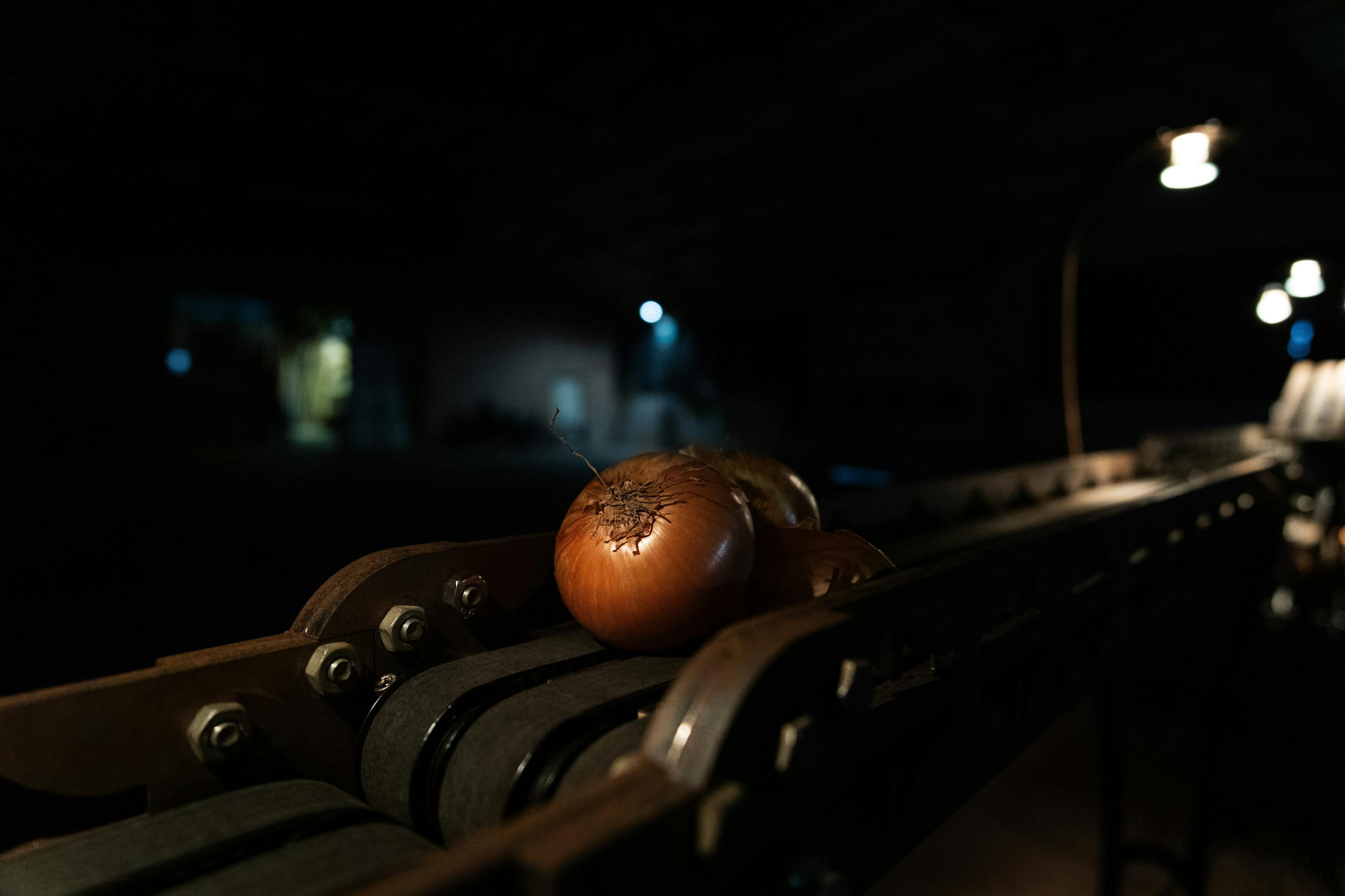 20240222 ONION mortsel 008